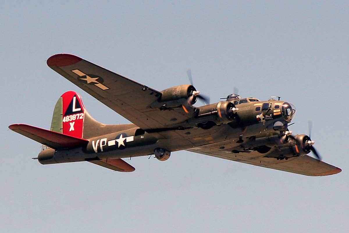 B17.jpg